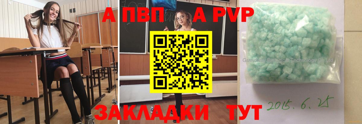 A PVP СК КРИС Петрозаводск
