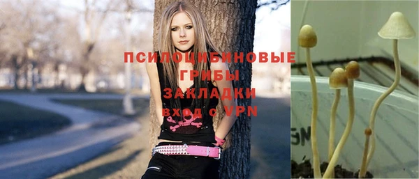 ALPHA PVP Алексеевка