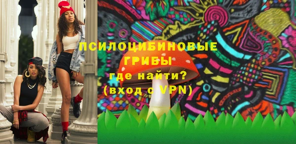герыч Алексин