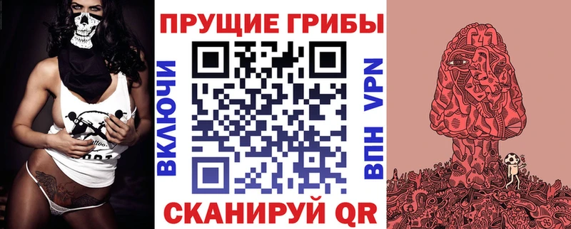 Псилоцибиновые грибы Magic Shrooms  наркота  Петрозаводск 