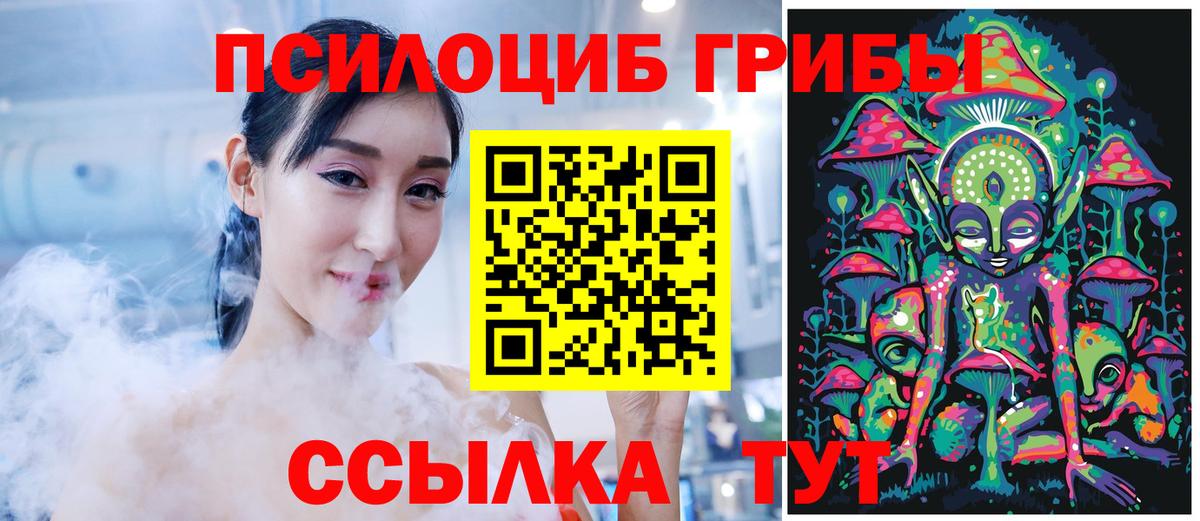 Псилоцибиновые грибы прущие грибы  Вход с VPN  Петрозаводск 