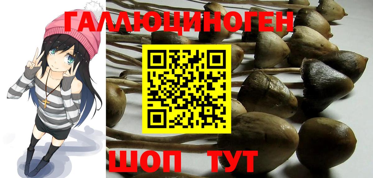 Псилоцибиновые грибы GOLDEN TEACHER Петрозаводск